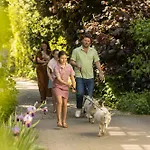 Дом отдыха Petit Chateau Luxe *