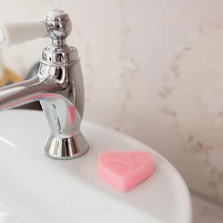 Vakantiehuis Petit Château Luxe Heythuysen