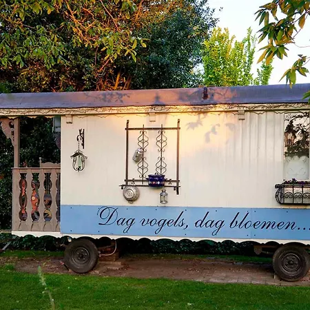 Petit Chateau Luxe *