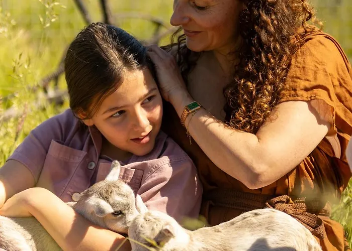 Vakantiehuis Petit Château Luxe *