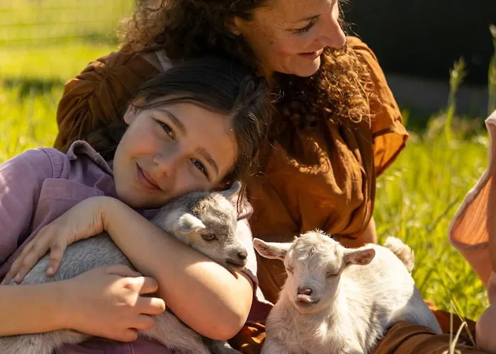 Petit Château Luxe Vakantiehuis *