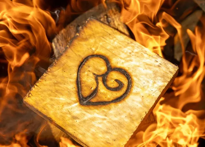 Petit Château Luxe Vakantiehuis *