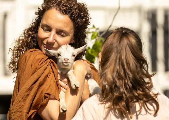 Vakantiehuis Petit Château Luxe *