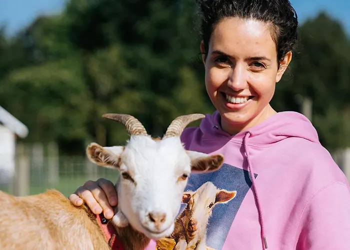 Petit Château Luxe Vakantiehuis *